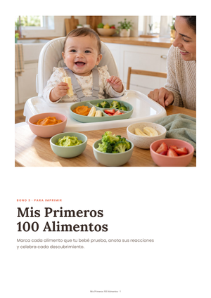 Bono Checklist Mis Primeros 100 Alimentos
